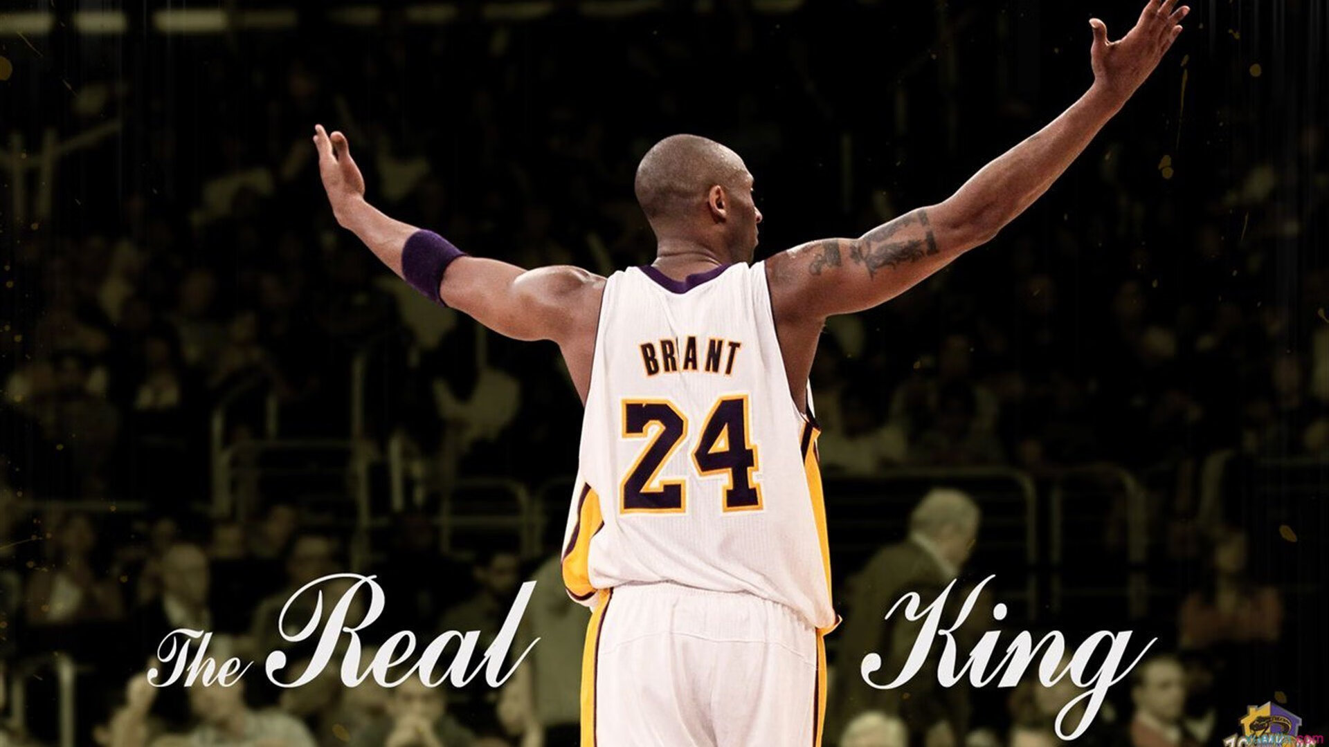 明日方舟“未来领袖”线下明星争霸正式开启，明日方舟未来活动时间表